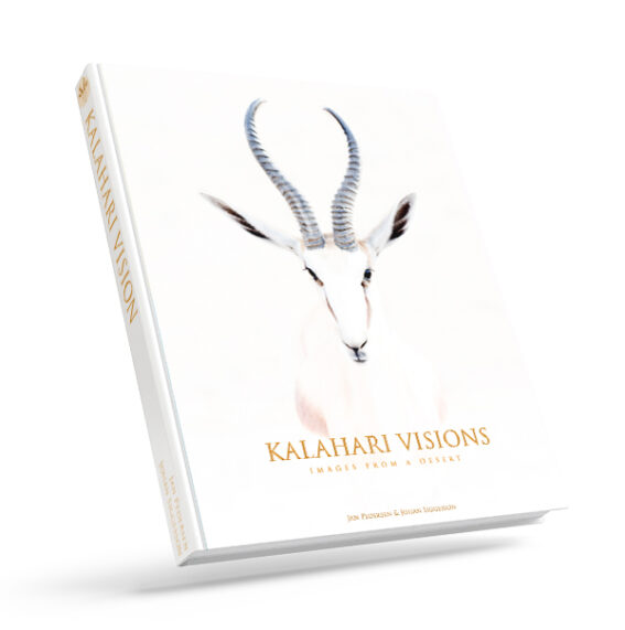 Kalahari Visions book cover